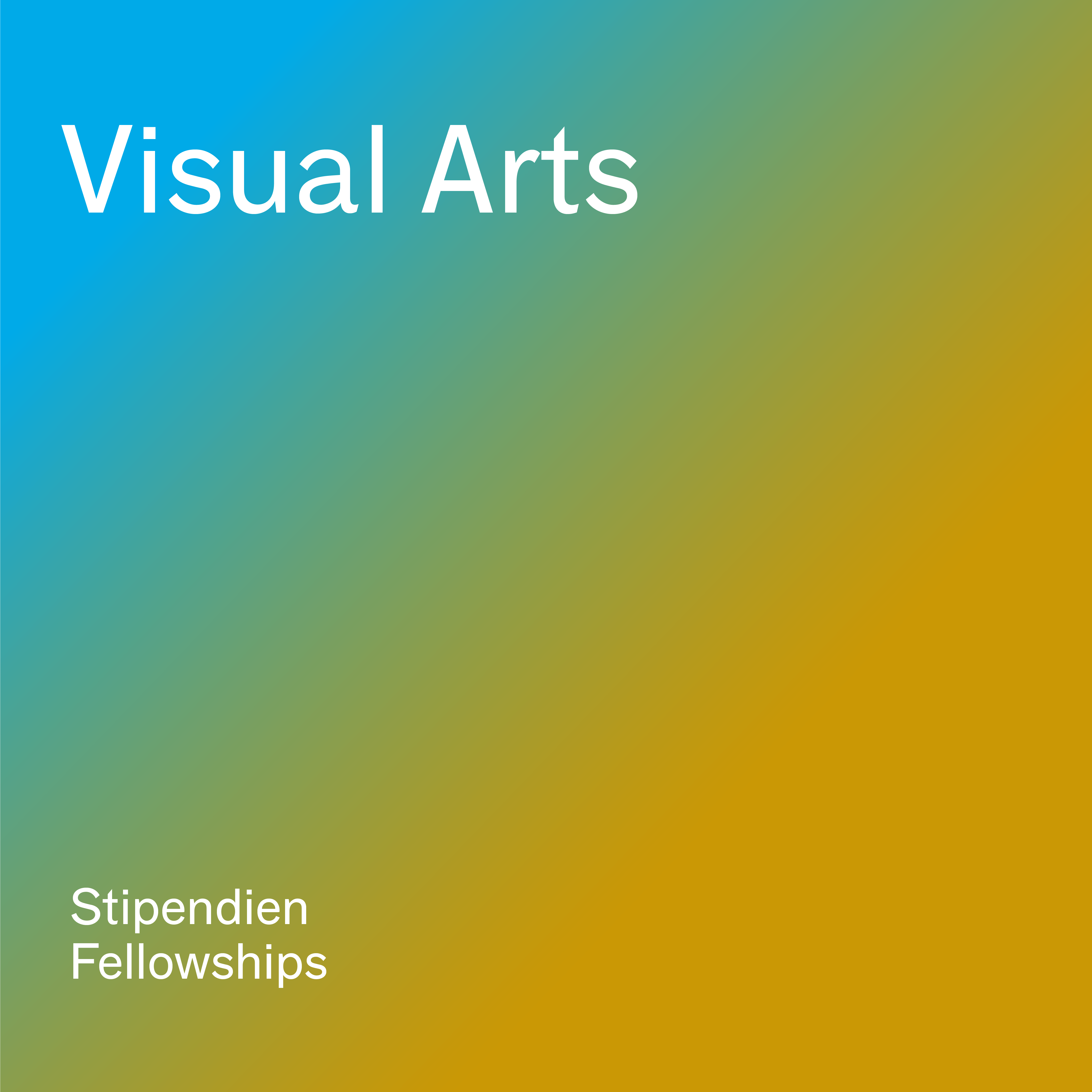 stoerer-verlauf-Visual Arts